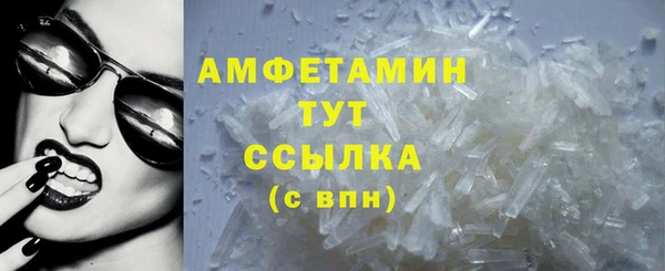 ECSTASY Бородино