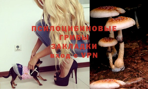 прущая мука Бронницы