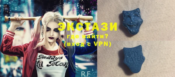 ECSTASY Бородино