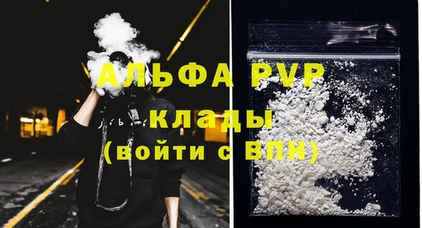 ECSTASY Бородино