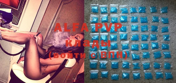 ECSTASY Бородино