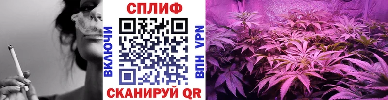 Конопля MAZAR  гидра вход  Верхний Уфалей 
